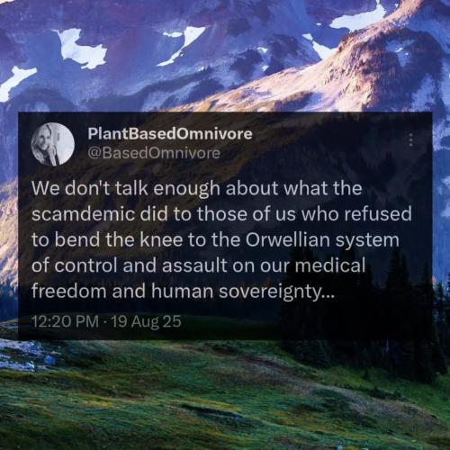 IMG_20250820_230520_717