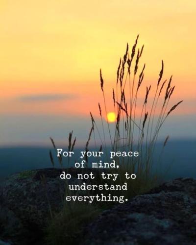 535396456_24452115804418272_91234322301269729_n