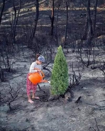 526875873_739573688780707_7048118766740342381_n