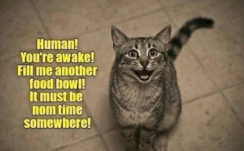 7b5ce8404636b3d49a97c258f7714249