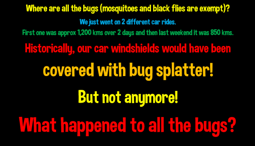 where are all the bugs