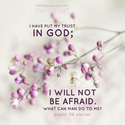 psa-56-11-WEB-pixabay-9x