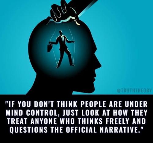 514253019_1825686084708111_8890729474528025731_n