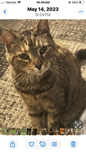 6841E7C5-1AF4-40CC-97F5-07A6FB7940F5