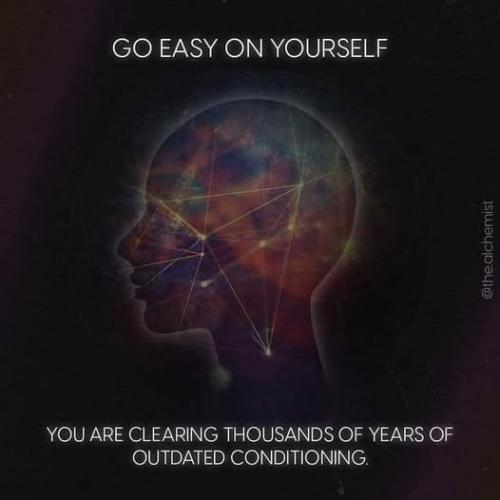 537500634_10162029516919958_3855351852246854965_n