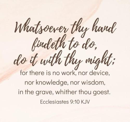 b5c4c6f0-c809-41d7-a4dc-fb622f60f69d