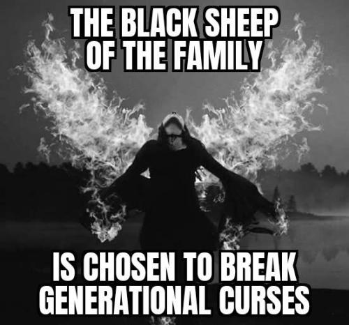 5d6a1d26f005b9685978b8cec790fba6