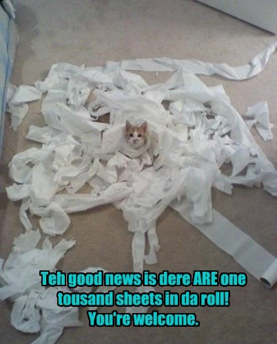 truth-in-advertising