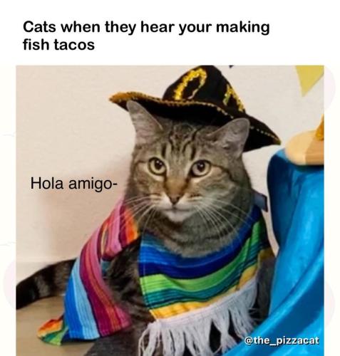 happy-taco-tuesday-v0-3qf21ubqb90a1