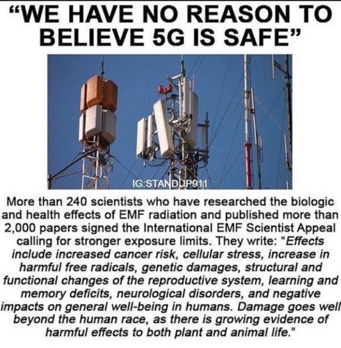 5G
