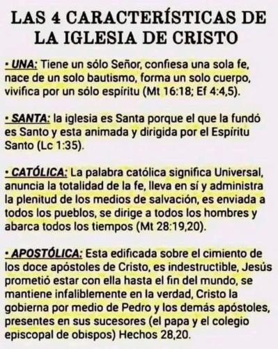 FB_IMG_1744899320860