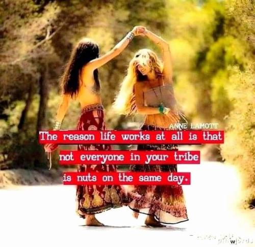 a7986e41-f07e-4a6a-89ca-bb4042a155d8