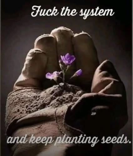 535147001_10172128263480504_8676092205469374646_n