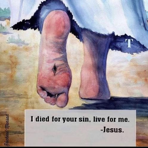 49e3b39dcafbd7e3377107668c1ff7d8