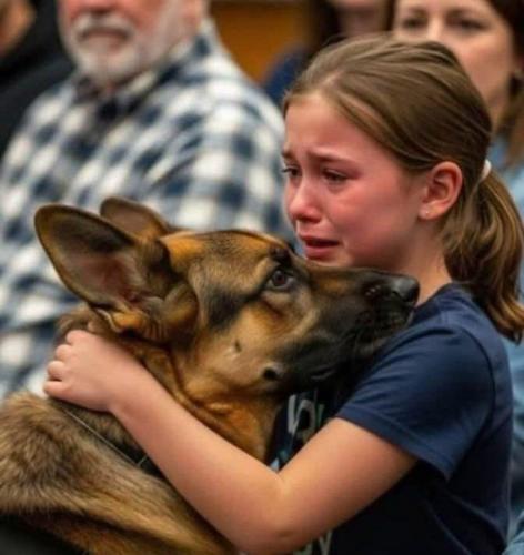 IMG_20250830_193644_247