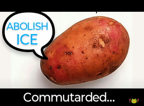 Screenshot_20250825-081313.Photos~3