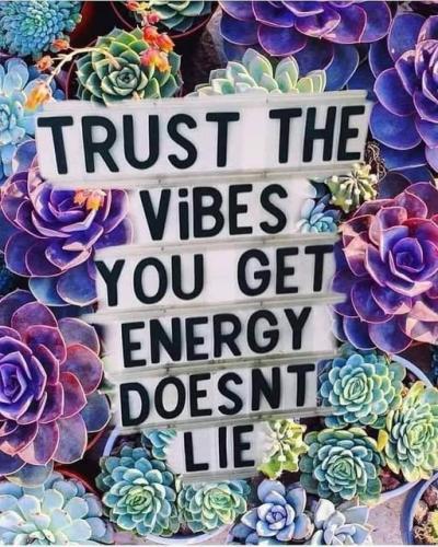 527305511_24359751503662318_7900601662581969494_n