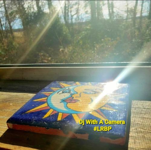 Screenshot_20250801_181542_Gallery