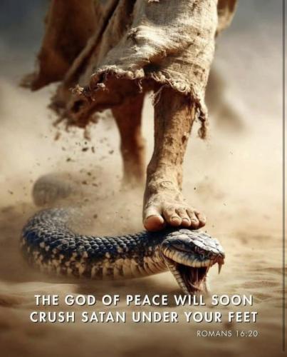 IMG_20250813_002304_306