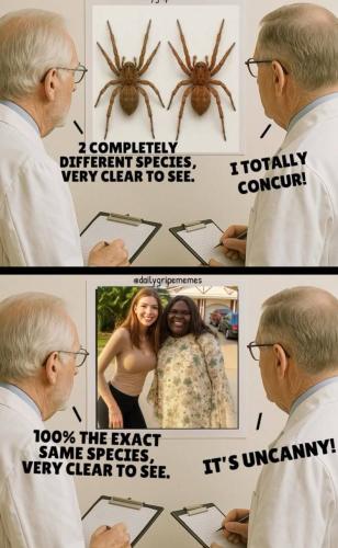 IMG_20250806_105700_250