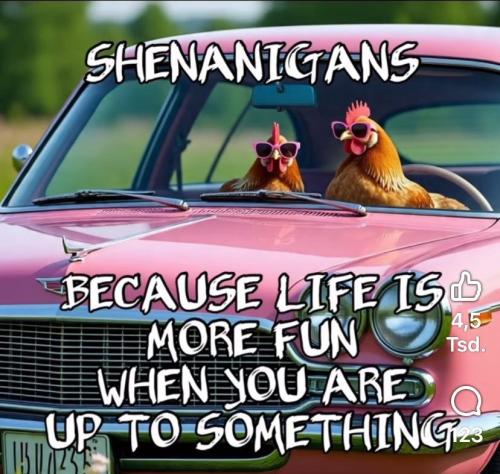 IMG_20250816_211454_223