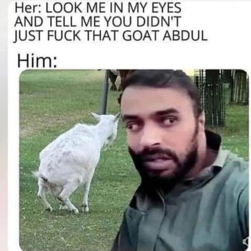 FB_IMG_1754761112752