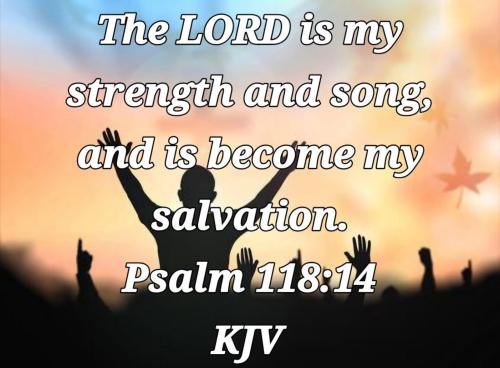 b0118f71-5df8-49b5-9d4a-8a704213573e