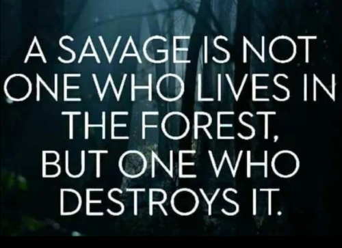 Screenshot 2025-07-28 103155