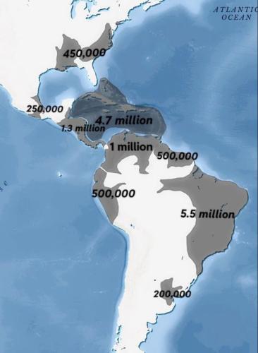 20250805_110004