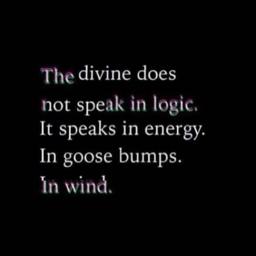 535405065_789771973575730_6223983196944746569_n