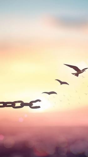 bca90a45c557c26a7ea25ebc861b7d43