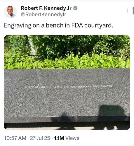 FB_IMG_1754012293631