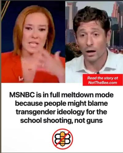 msnbc-in-meltdown