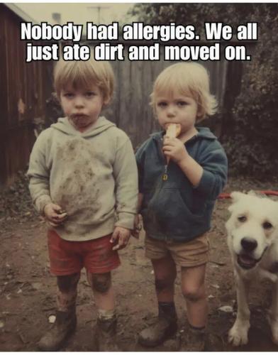 nobody-har-allergies