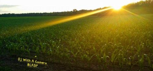 Screenshot_20250823_184527_Gallery