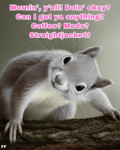 527560123_774059202240963_4134269637726400831_n