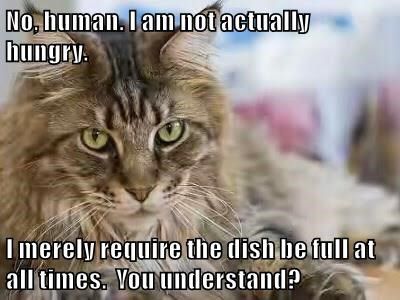 a05ab7106c40c11a740782bc7f3524bc