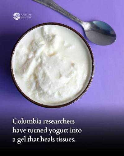 1bf8575c-a90d-4a46-a44f-9c1f92815af5