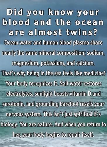 ,          ,  0424775766_746362