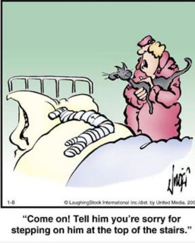 630b4df7915b1bf3cf81ec71d19b2daa