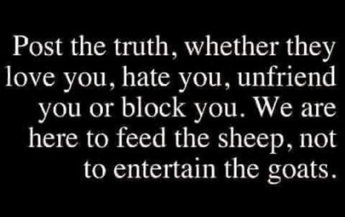 FB_IMG_1755209310382