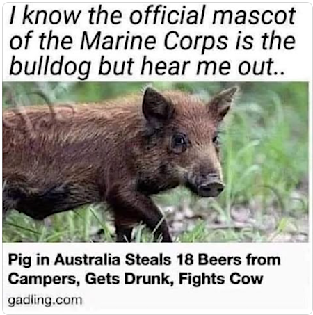 image_8C884F8A-9445-4211-BE5F-053A5AC21A4E