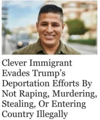 clever-immigrant