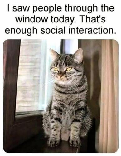 536282854_122224792034088259_8258949081424973284_n