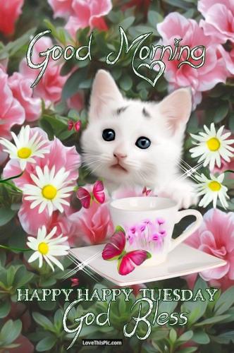 3cd090f12977e56351868ab16e88994a