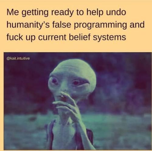 528635740_1170478061774886_121654810414609582_n