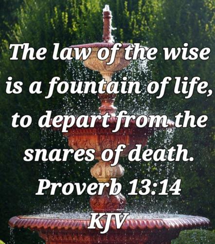 8d2fef2d-0a96-4a16-8201-dfe7421ccf7b