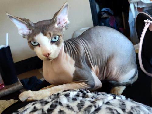 IMG_20241017_154507093_HDR