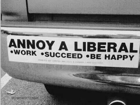 annoy-a-liberal