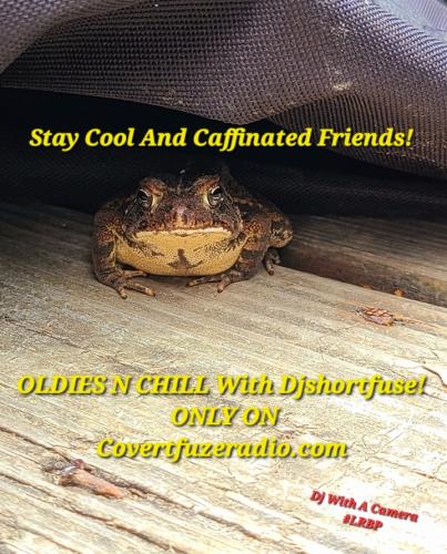 Screenshot_20250804_065919_Gallery